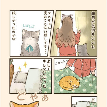 お布団キレイにしたのに…🐈🐾