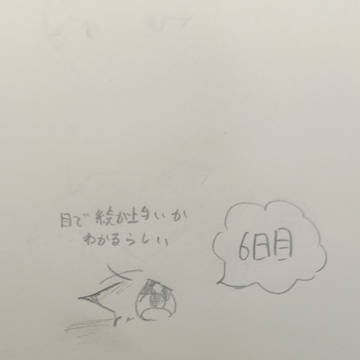 《毎日投稿六日目》　　　　無理だろ！！
