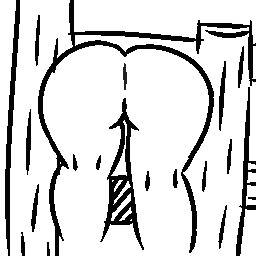 绘画练习
