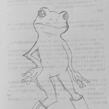 靴蛙