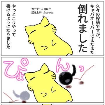 久々投稿