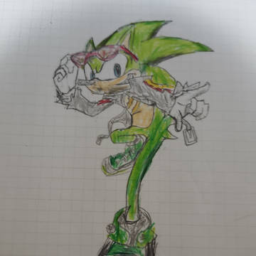 スカージ ザ ヘッジホッグ