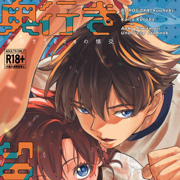 夏コミ快青新刊『奥行き50cmの情交』