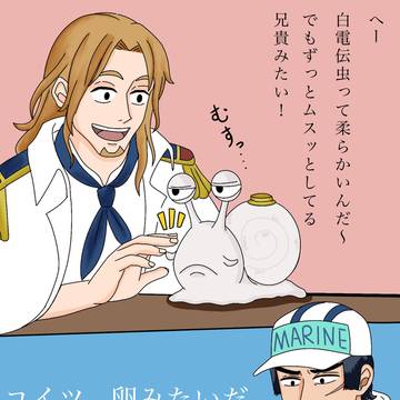白電伝虫について思うこと……