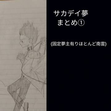 サカデイ夢まとめ①