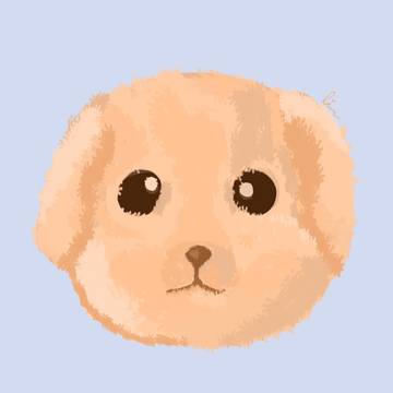 Perrito