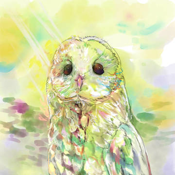 ふくろう