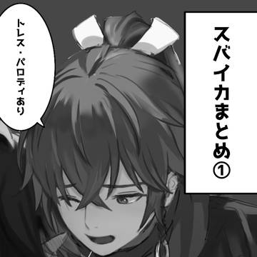 スバイカまとめ