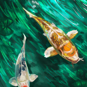 Koi Tango