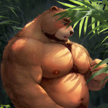 The woods