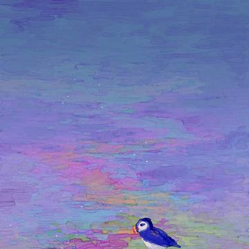 Puffin