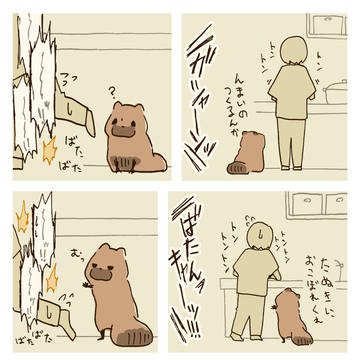 夏休みに子守りたぬき