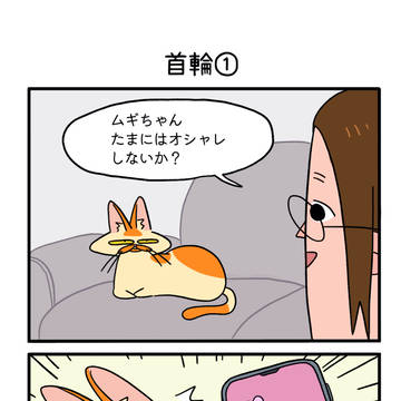 首輪