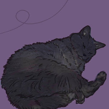 うちの猫