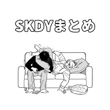 SKDYまとめ
