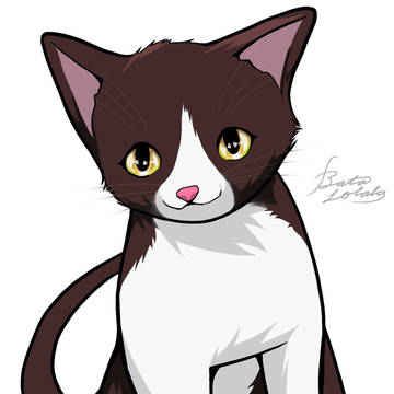 うちのお猫様
