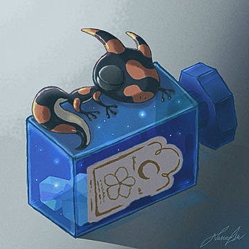 ひんやりマダラカガ