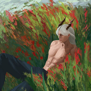 Sylus in the meadow