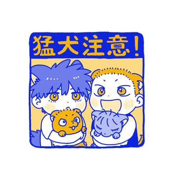2025/8/17こいぬ流花本全文公開