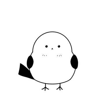 シマエナガ