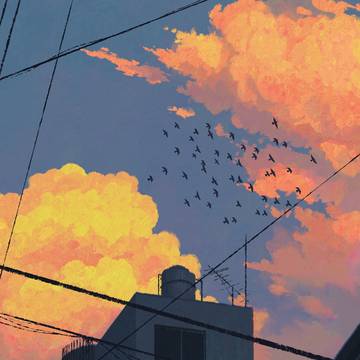 Sky