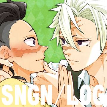 sngn log
