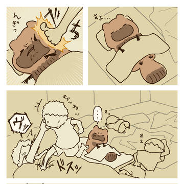 夏休み公園たぬき