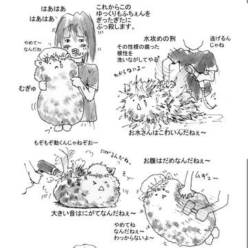 ゆっくりちぇん いじめ