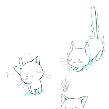 ネコー
