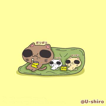 ポテチでおやつタイムの猫さん