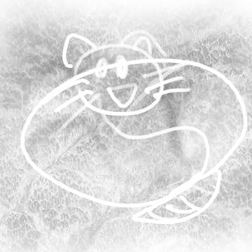 猫（概念）