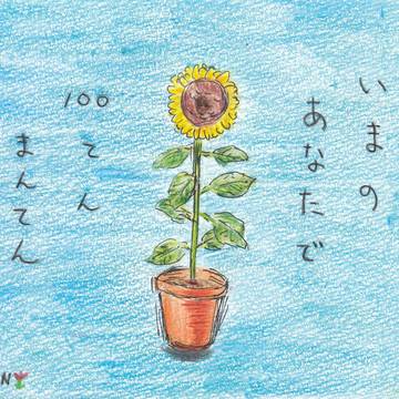 ひまわり