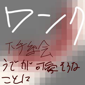 ワンク見づらくてごめんね