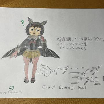 【オリフレ】イブニングコウモリ