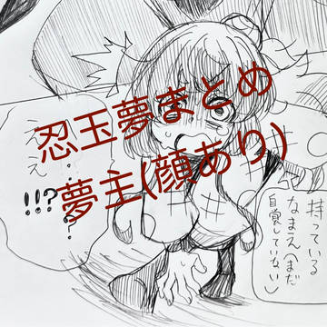 忍玉夢絵 ーまとめ①ー