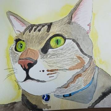 水彩画　猫