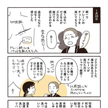 Page 15 thumbnail