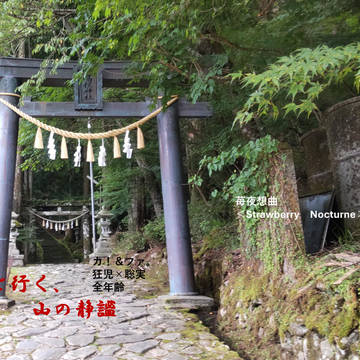 君と行く、山の静謐