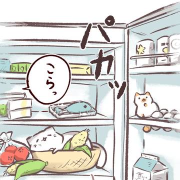 最近暑すぎて冷蔵庫を開ける度に入りたくなる
