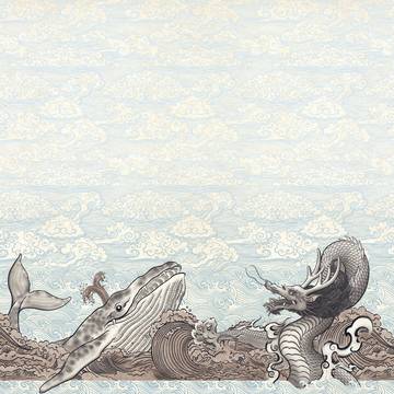 鲸 与 龙