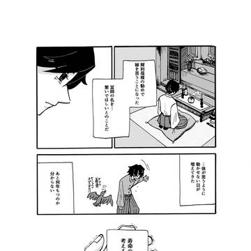 蝶の舞