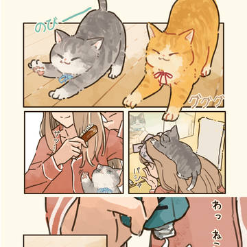 朝の身支度🐈🐾