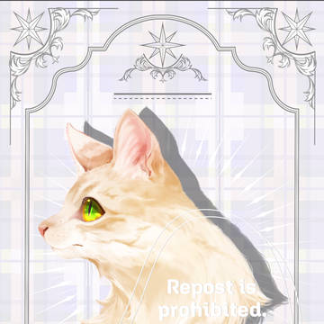 ねこ
