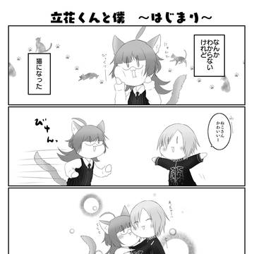 にゃんこになったこくと