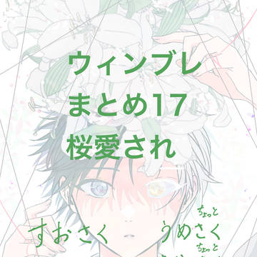 ウィンブレまとめ17