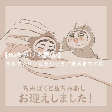 【HQちみけも夢⑥】ちみふくろうたちがうちに来るまでの旅