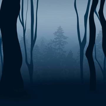Spooky Woods