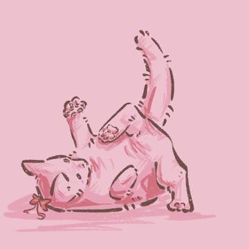 🎀🎨🐈
