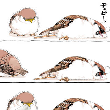 ぶらんけっと
