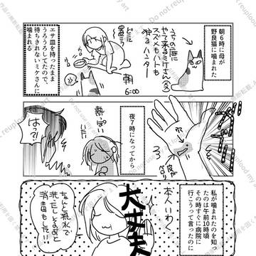 2025夏休み日記